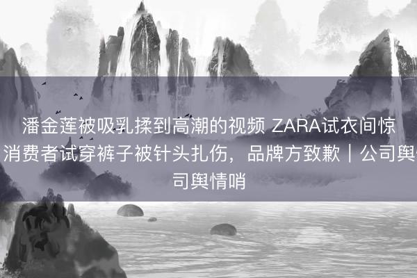 潘金莲被吸乳揉到高潮的视频 ZARA试衣间惊魂：消费者试穿裤子被针头扎伤，品牌方致歉｜公司舆情哨