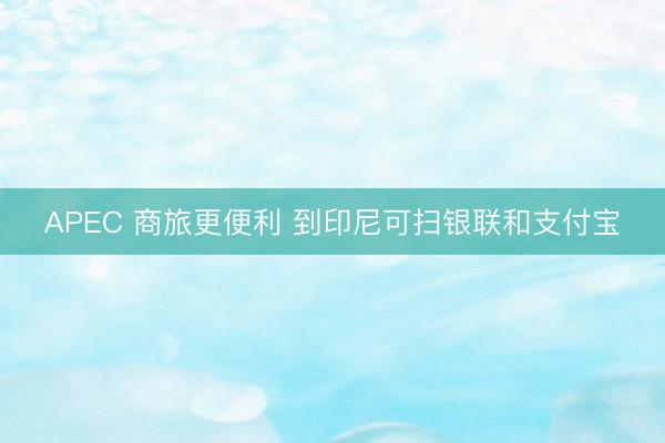 APEC 商旅更便利 到印尼可扫银联和支付宝