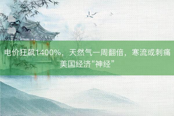电价狂飙1400%，天然气一周翻倍，寒流或刺痛美国经济“神经”