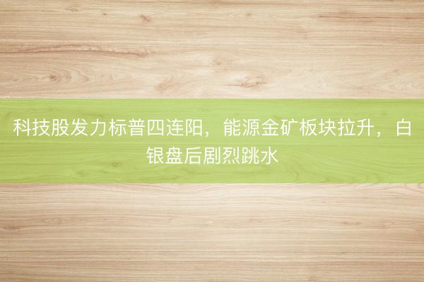 科技股发力标普四连阳，能源金矿板块拉升，白银盘后剧烈跳水