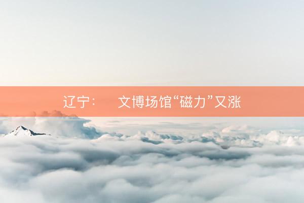 辽宁：​文博场馆“磁力”又涨