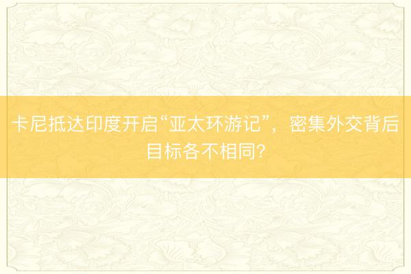 卡尼抵达印度开启“亚太环游记”，密集外交背后目标各不相同？