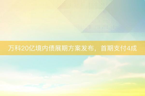 万科20亿境内债展期方案发布,首期支付4成
