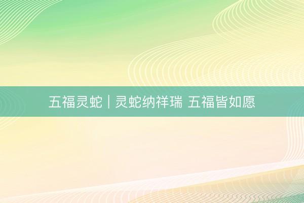 五福灵蛇 | 灵蛇纳祥瑞 五福皆如愿