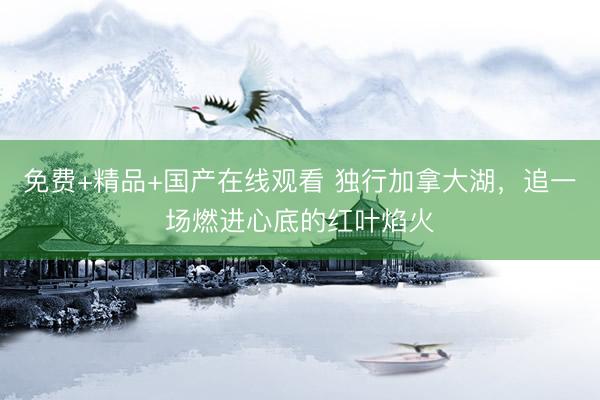 免费+精品+国产在线观看 独行加拿大湖，追一场燃进心底的红叶焰火