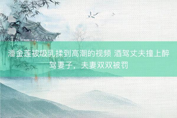 潘金莲被吸乳揉到高潮的视频 酒驾丈夫撞上醉驾妻子，夫妻双双被罚