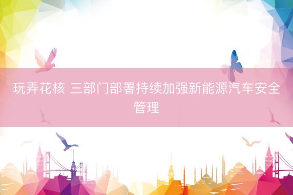 玩弄花核 三部门部署持续加强新能源汽车安全管理