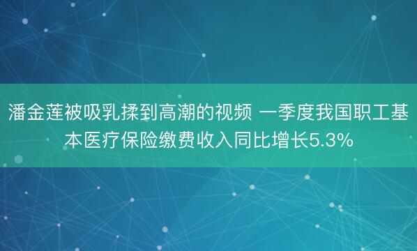 潘金莲被吸乳揉到高潮的视频 一季度我国职工基本医疗保险缴费收入同比增长5.3%