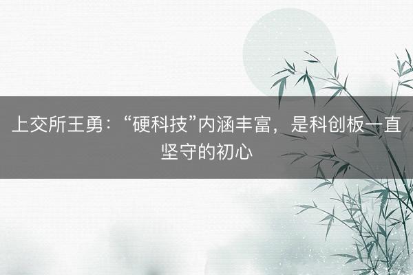 上交所王勇：“硬科技”内涵丰富，是科创板一直坚守的初心