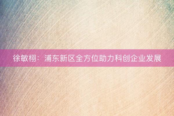 徐敏栩：浦东新区全方位助力科创企业发展