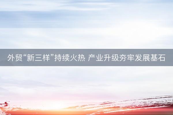 外贸“新三样”持续火热 产业升级夯牢发展基石