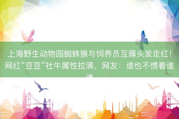 上海野生动物园蜘蛛猴与饲养员互薅头发走红！网红“豆豆”社牛属性拉满，网友：谁也不惯着谁