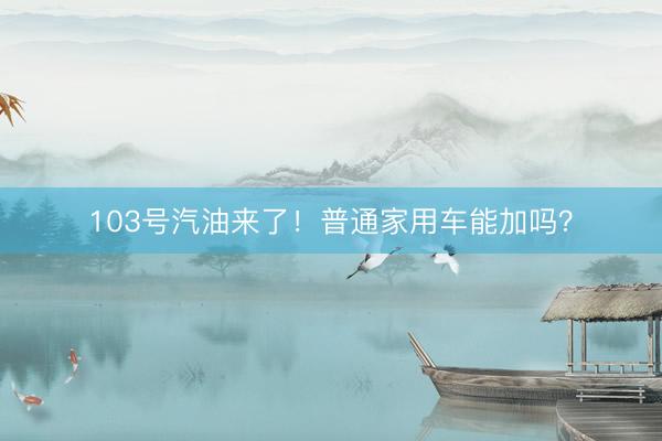 103号汽油来了！普通家用车能加吗？