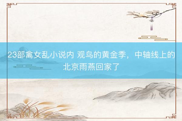 23部禽女乱小说内 观鸟的黄金季，中轴线上的北京雨燕回家了