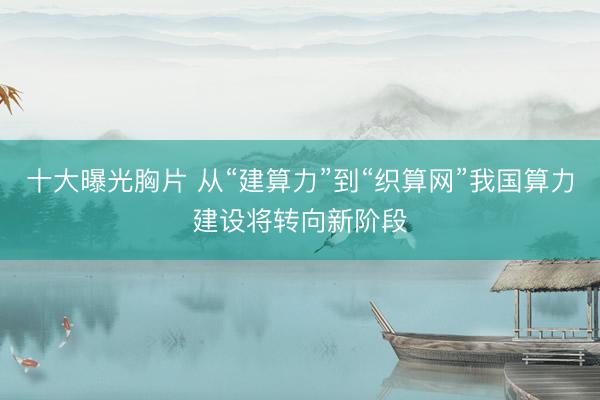 十大曝光胸片 从“建算力”到“织算网”我国算力建设将转向新阶段