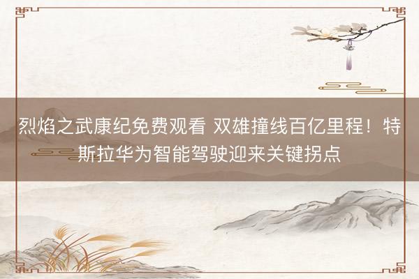 烈焰之武康纪免费观看 双雄撞线百亿里程！特斯拉华为智能驾驶迎来关键拐点