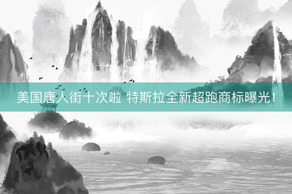 美国唐人街十次啦 特斯拉全新超跑商标曝光!