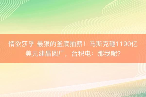 情欲莎孚 最狠的釜底抽薪！马斯克砸1190亿美元建晶圆厂，台积电：那我呢？