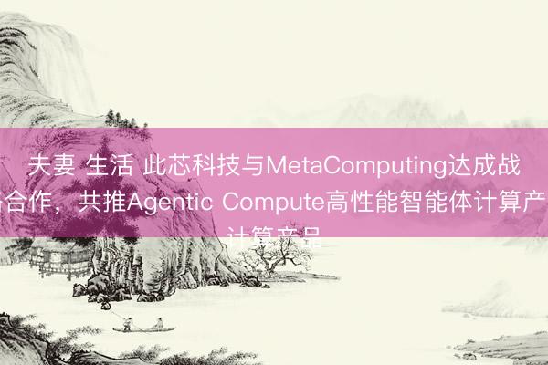 夫妻 生活 此芯科技与MetaComputing达成战略合作，共推Agentic Compute高性能智能体计算产品