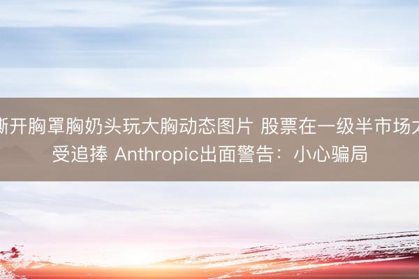 撕开胸罩胸奶头玩大胸动态图片 股票在一级半市场太受追捧 Anthropic出面警告:小心骗局