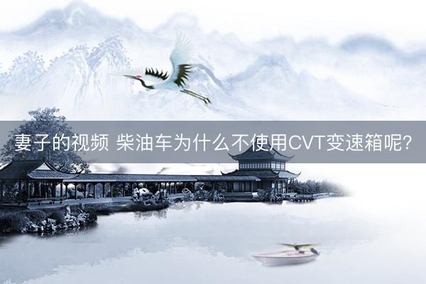 妻子的视频 柴油车为什么不使用CVT变速箱呢？