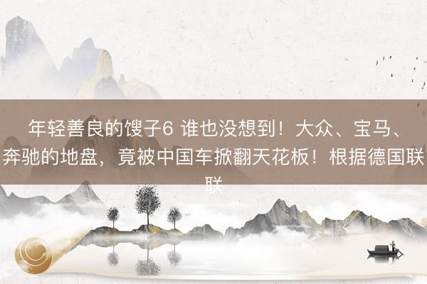 年轻善良的馊子6 谁也没想到!大众、宝马、奔驰的地盘,竟被中国车掀翻天花板!根据德国联