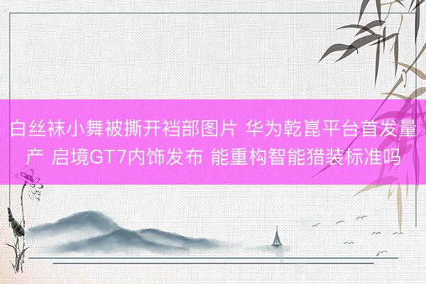 白丝袜小舞被撕开裆部图片 华为乾崑平台首发量产 启境GT7内饰发布 能重构智能猎装标准吗