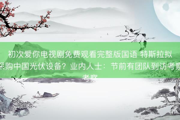 初次爱你电视剧免费观看完整版国语 特斯拉拟采购中国光伏设备？业内人士：节前有团队到访考察