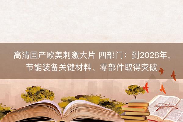高清国产欧美刺激大片 四部门：到2028年，节能装备关键材料、零部件取得突破