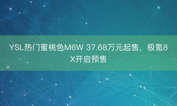 YSL热门蜜桃色M6W 37.68万元起售，极氪8X开启预售