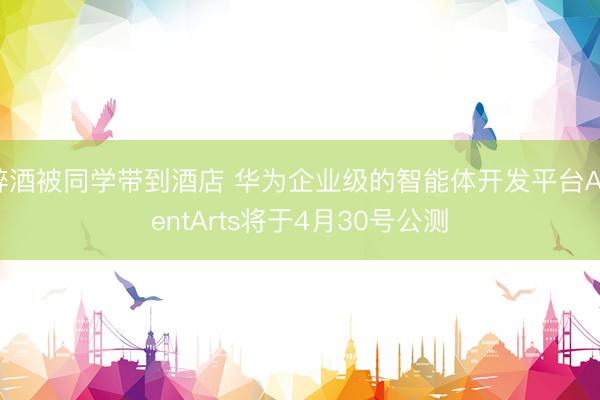 醉酒被同学带到酒店 华为企业级的智能体开发平台AgentArts将于4月30号公测