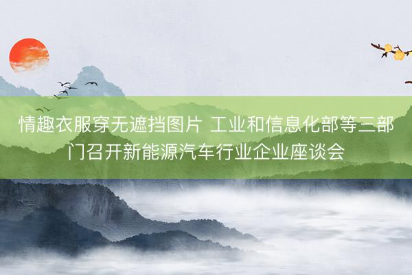 情趣衣服穿无遮挡图片 工业和信息化部等三部门召开新能源汽车行业企业座谈会