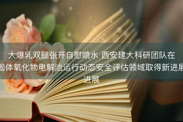 大爆乳双腿张开自慰喷水 西安建大科研团队在固体氧化物电解池运行动态安全评估领域取得新进展