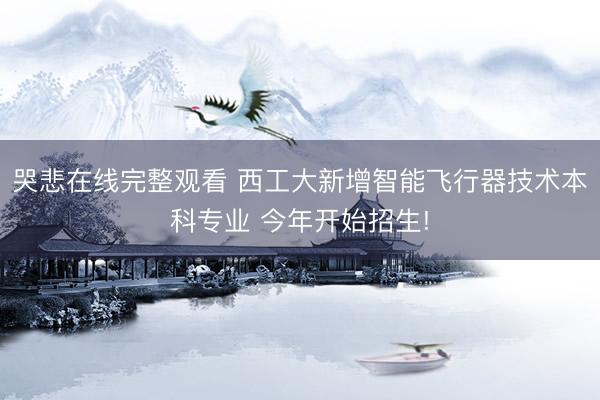 哭悲在线完整观看 西工大新增智能飞行器技术本科专业 今年开始招生!