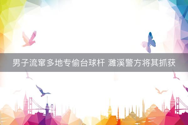 男子流窜多地专偷台球杆 濉溪警方将其抓获