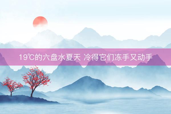 19℃的六盘水夏天 冷得它们冻手又动手