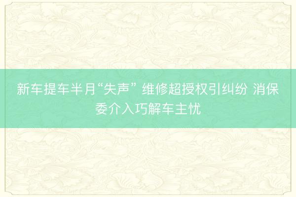 新车提车半月“失声” 维修超授权引纠纷 消保委介入巧解车主忧