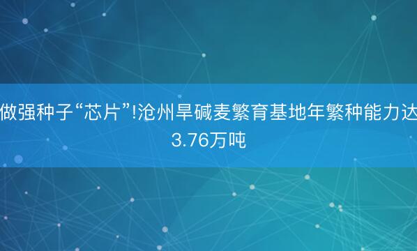 做强种子“芯片”!沧州旱碱麦繁育基地年繁种能力达3.76万吨