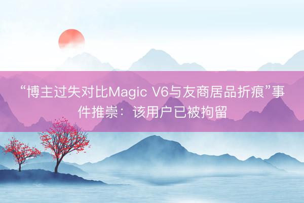 “博主过失对比Magic V6与友商居品折痕”事件推崇：该用户已被拘留