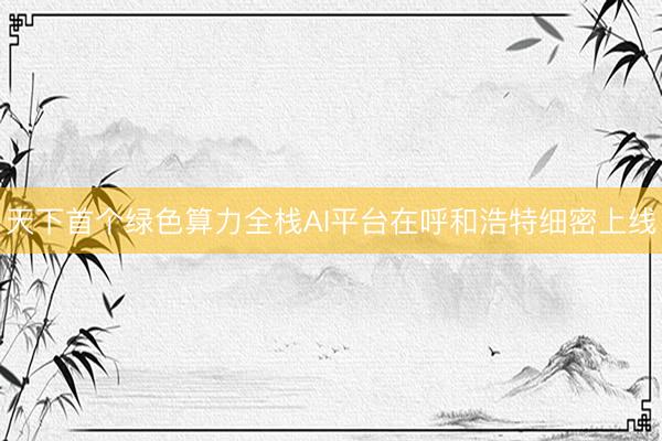 天下首个绿色算力全栈AI平台在呼和浩特细密上线