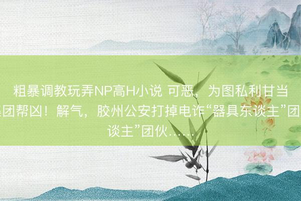 粗暴调教玩弄NP高H小说 可恶，为图私利甘当电诈集团帮凶！解气，胶州公安打掉电诈“器具东谈主”团伙……