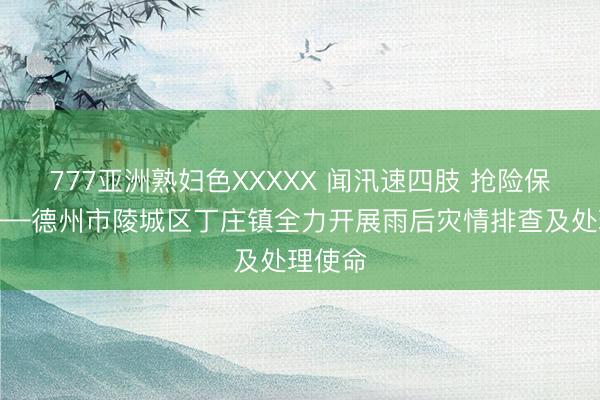 777亚洲熟妇色XXXXX 闻汛速四肢 抢险保民生——德州市陵城区丁庄镇全力开展雨后灾情排查及处理使命