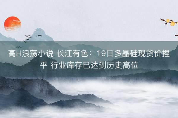 高H浪荡小说 长江有色：19日多晶硅现货价捏平 行业库存已达到历史高位