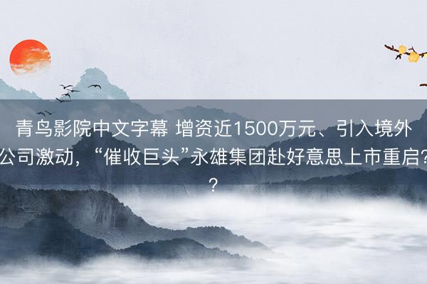 青鸟影院中文字幕 增资近1500万元、引入境外公司激动，“催收巨头”永雄集团赴好意思上市重启？