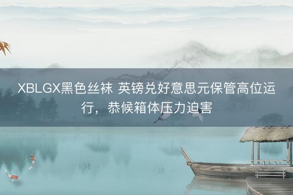 XBLGX黑色丝袜 英镑兑好意思元保管高位运行,恭候箱体压力迫害