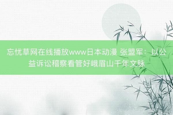 忘忧草网在线播放www日本动漫 张盟军：以公益诉讼稽察看管好峨眉山千年文脉