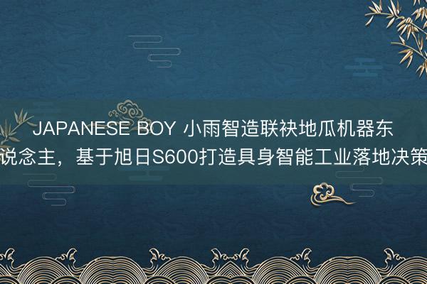 JAPANESE BOY 小雨智造联袂地瓜机器东说念主，基于旭日S600打造具身智能工业落地决策