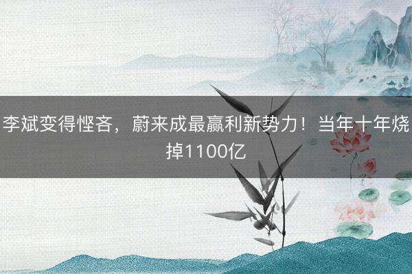李斌变得悭吝，蔚来成最赢利新势力！当年十年烧掉1100亿