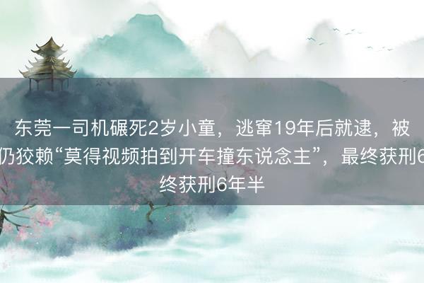 东莞一司机碾死2岁小童，逃窜19年后就逮，被捕时仍狡赖“莫得视频拍到开车撞东说念主”，最终获刑6年半