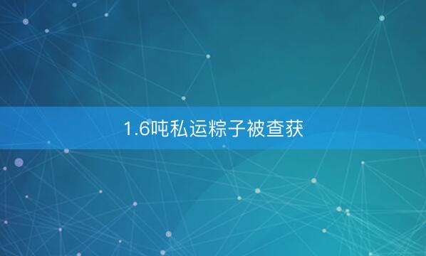 1.6吨私运粽子被查获